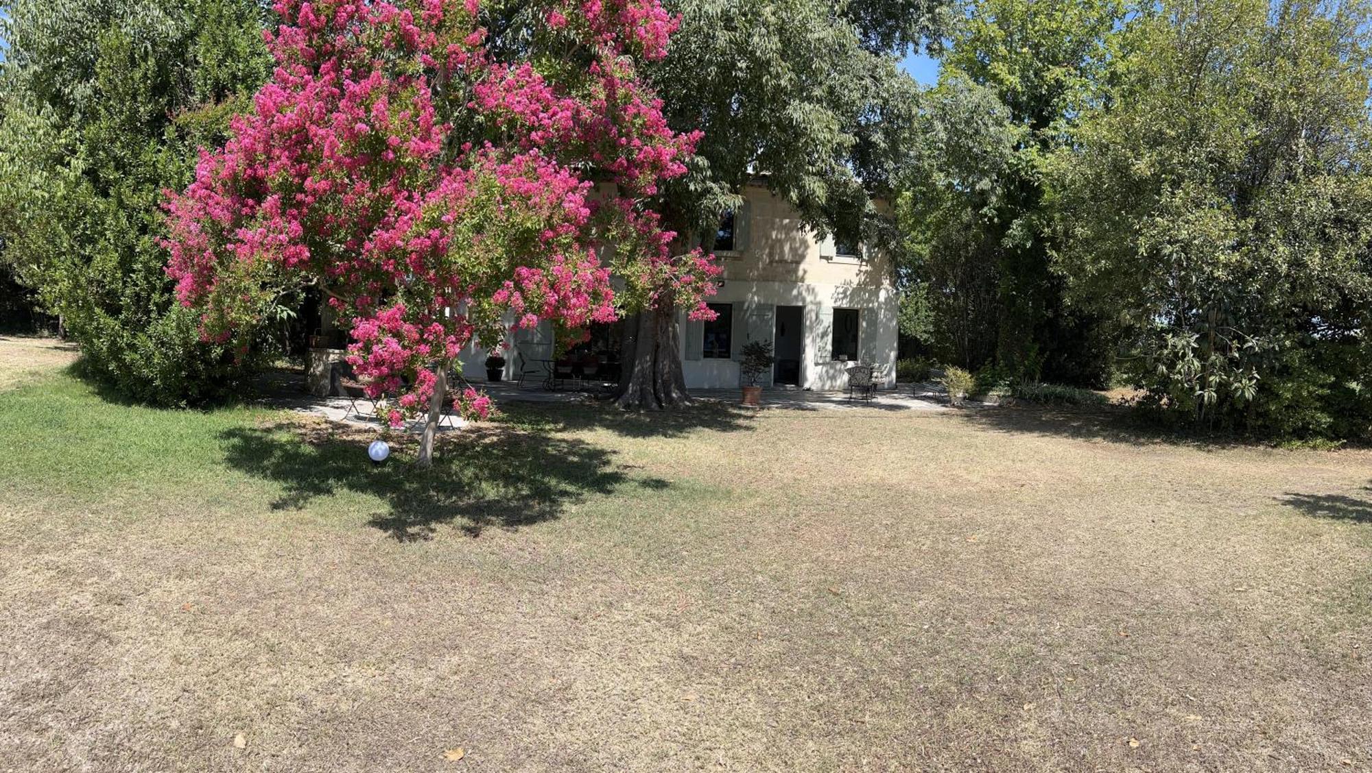 Alpilles Camargue Mas Falabrego Raphele ภายนอก รูปภาพ